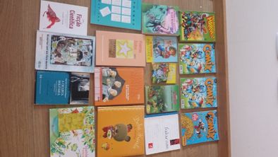 livros variados infantil e juvenil