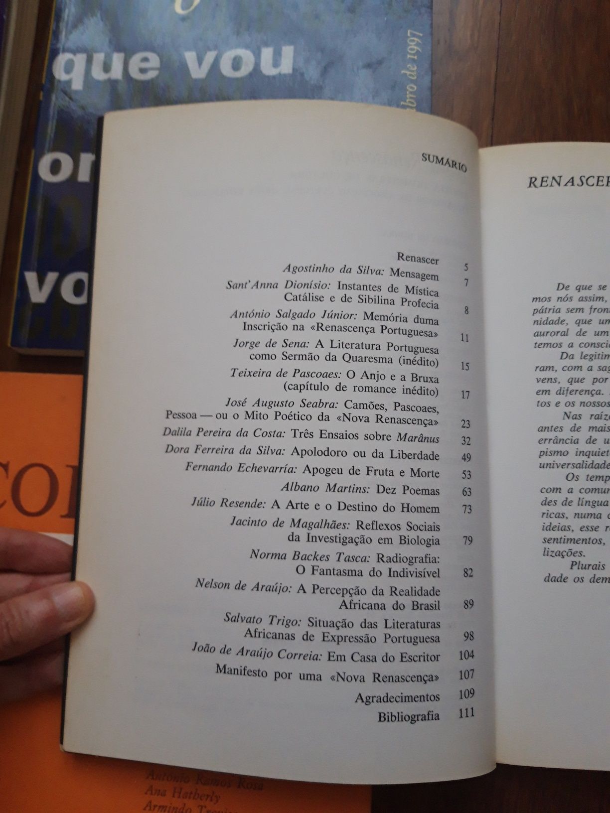 Revistas literárias: O Escritor/Colóquio Letras/Nova Renascença