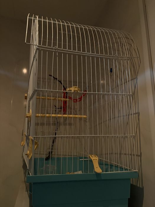 Клітка для папуги