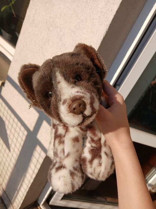 Pluszowy piesek w dobrym stanie