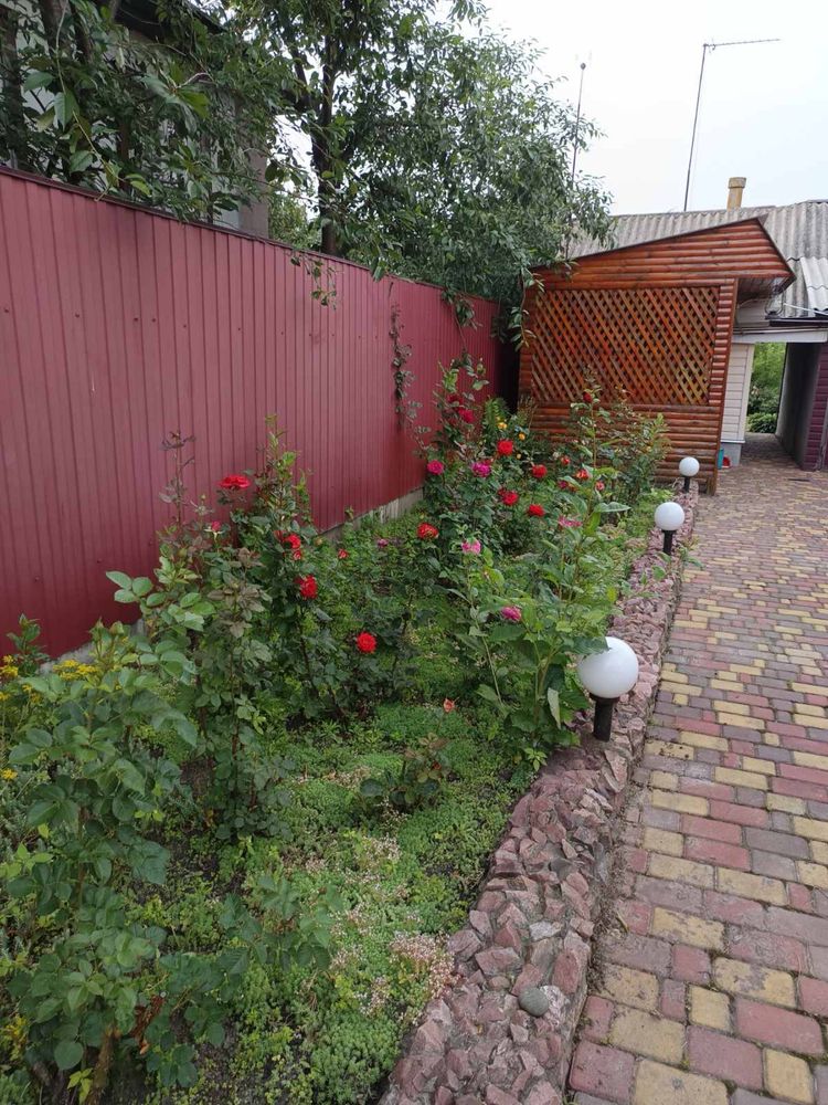 Будинок у Борзні — усе для життя: меблі, техніка, сад, город