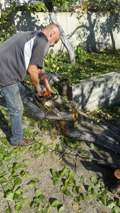 Обрезка сада, обрезка фруктовых деревьев для улучшения плодоношения.