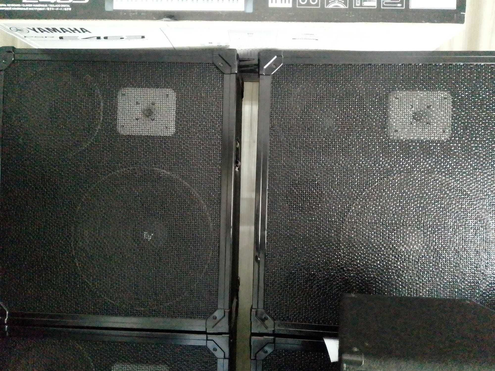 Super Pechincha 2 colunas dynacord a melhor qualidade+mesa amplificada