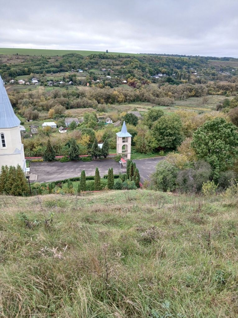 Продам будинок в Зінькові