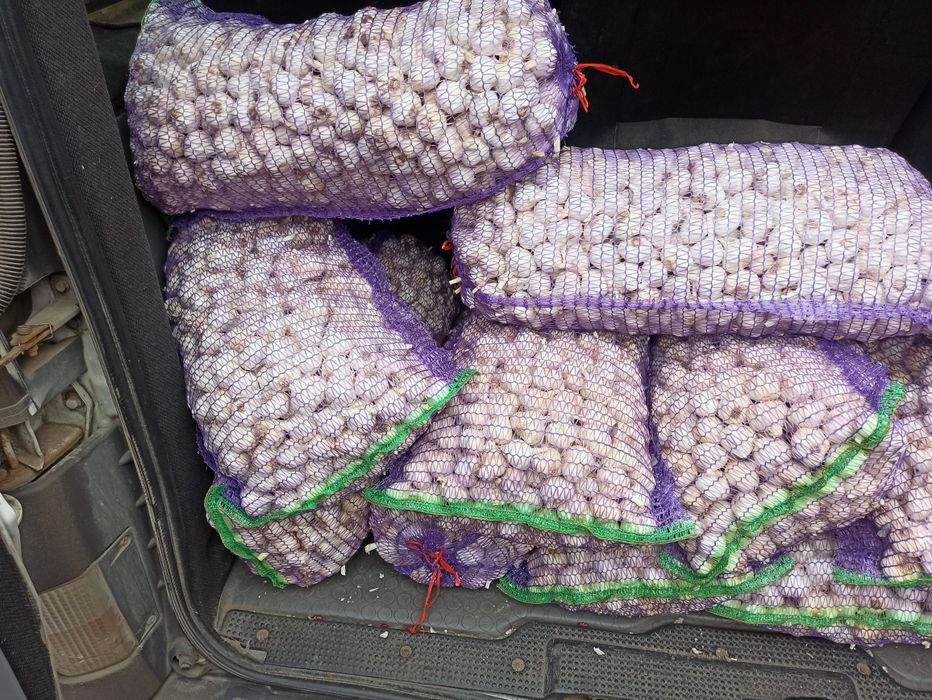 Яровий Сочинський