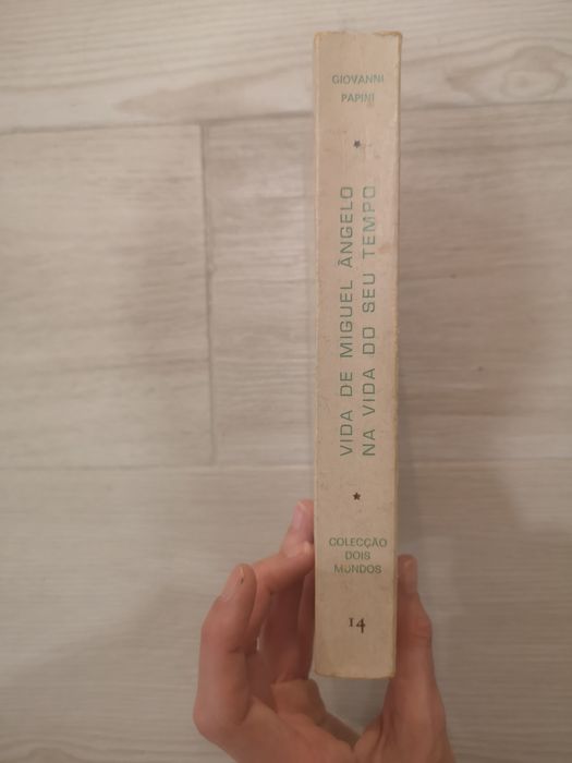 Livro Vida de Miguel Ângelo na vida do seu tempo