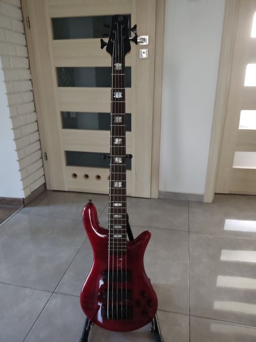 Gitara basowa Spector ReBop 5 DLX FM