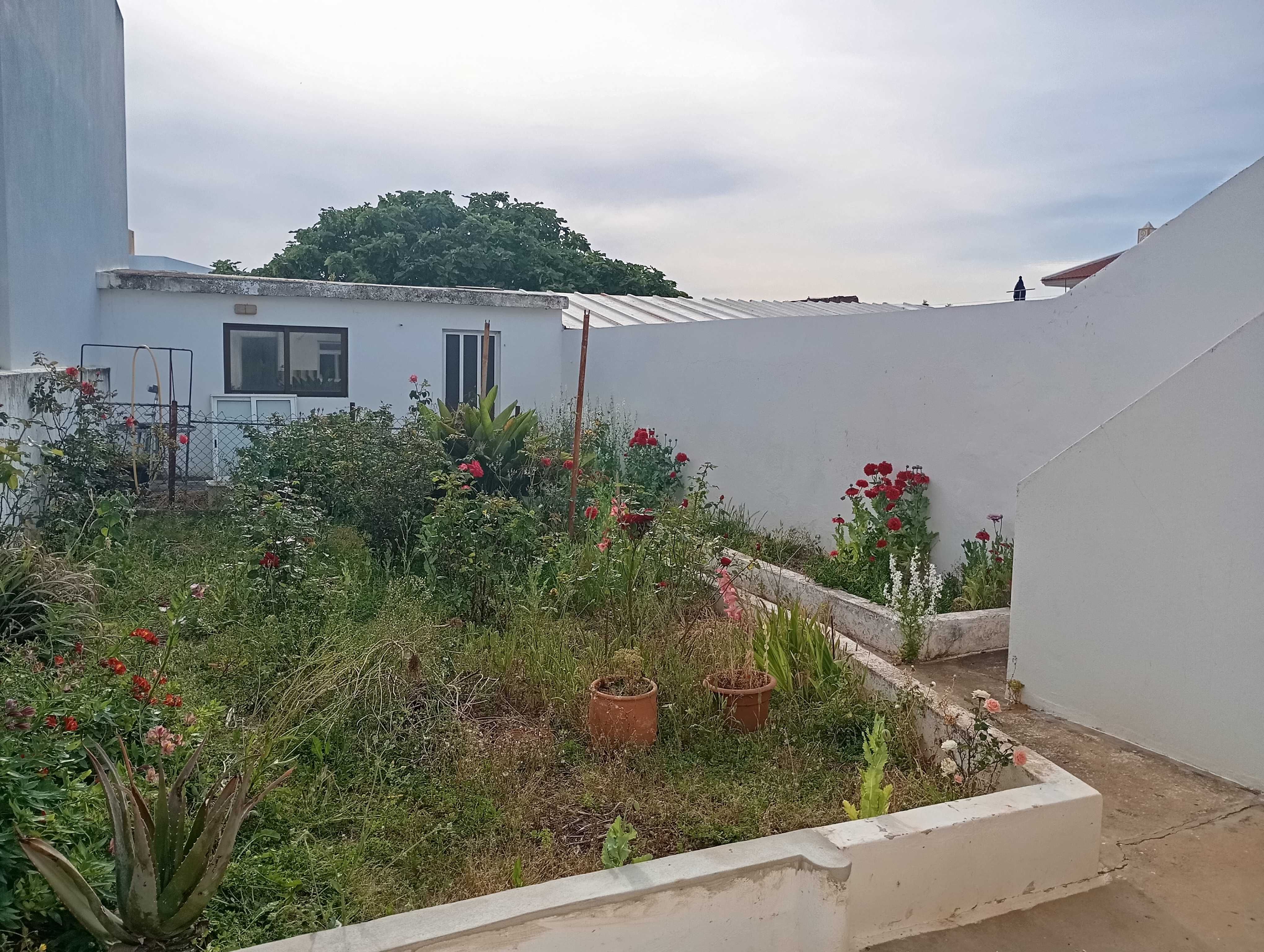 Casa com terraço e quintal