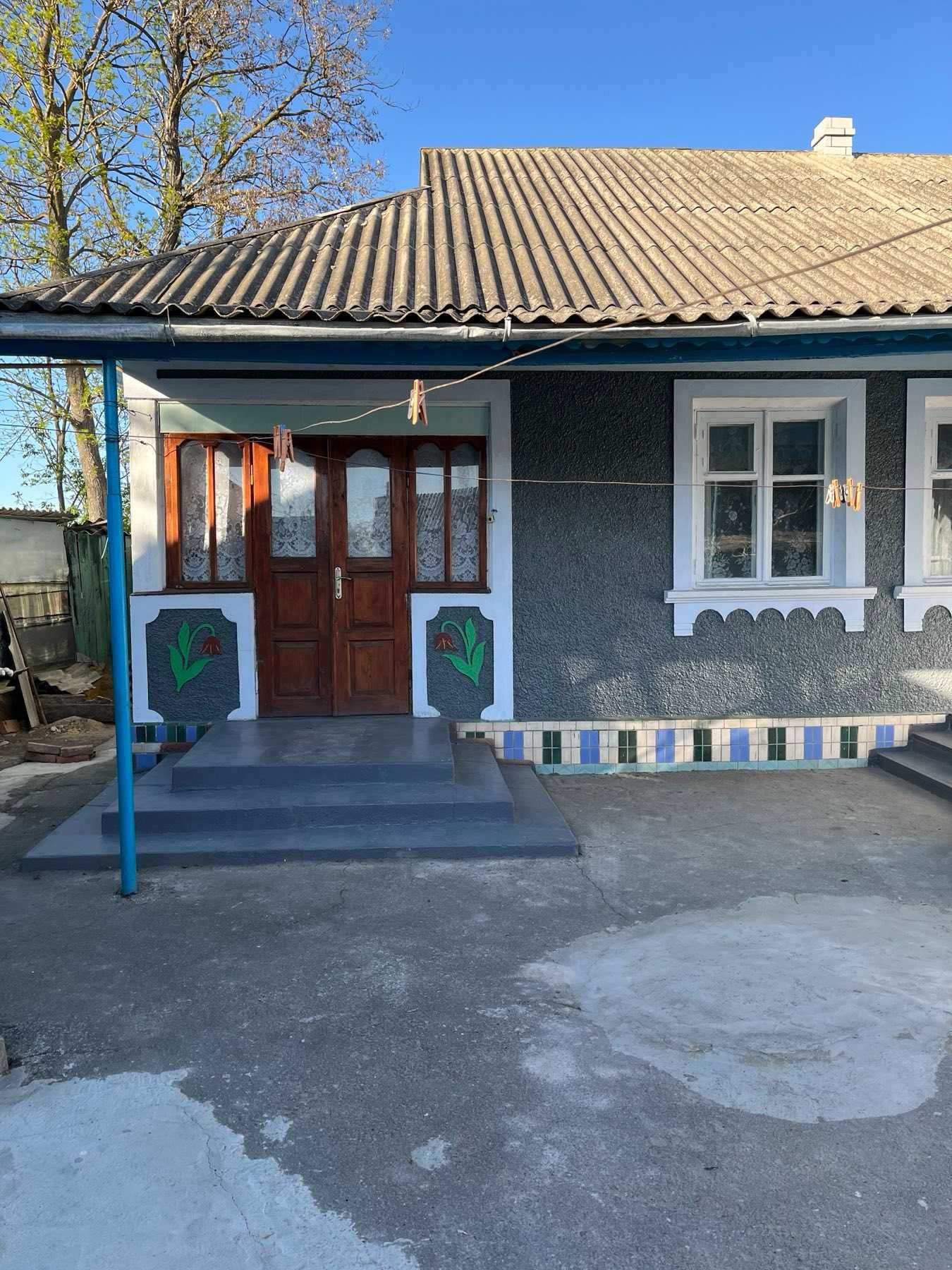 Продам будинок на Вінниччині (8340)