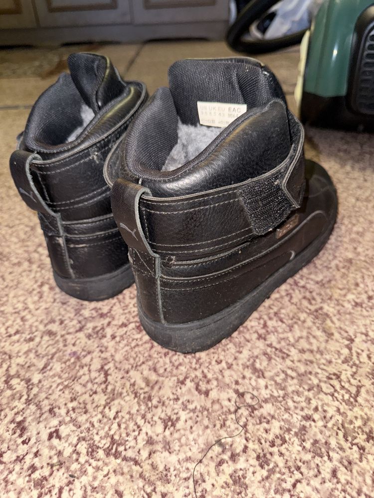 Зимние Кроссовки Puma