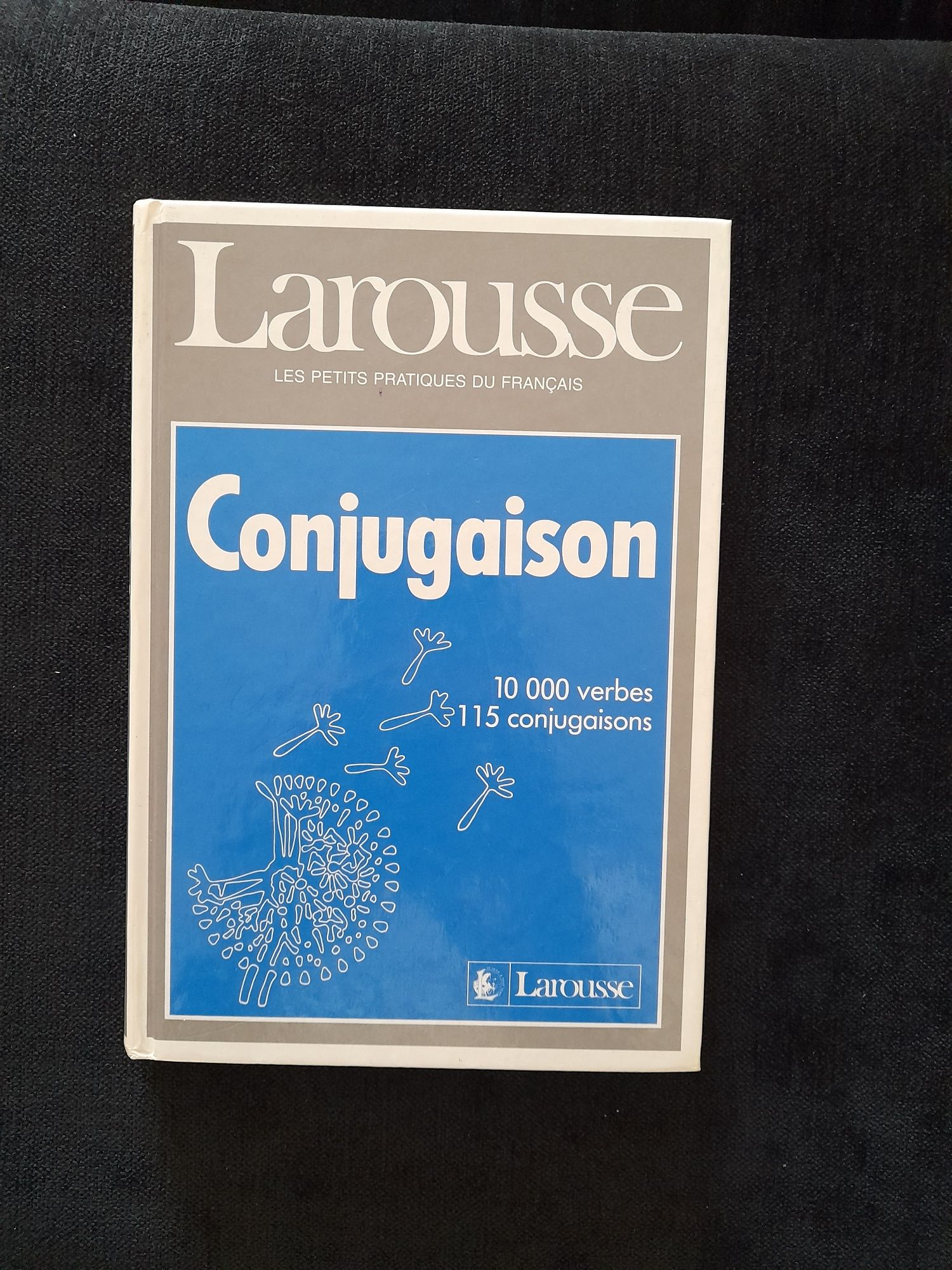 Larousse conjugaison Francês