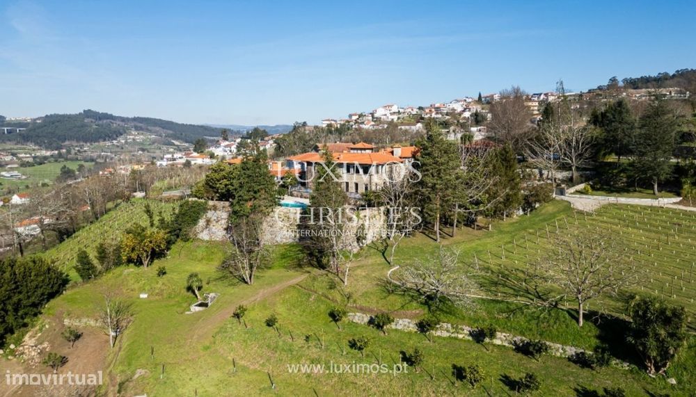Quinta Vinícola V7 para venda em Felgueiras, Norte de Portugal