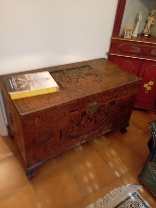 Arca de cânfora com nova