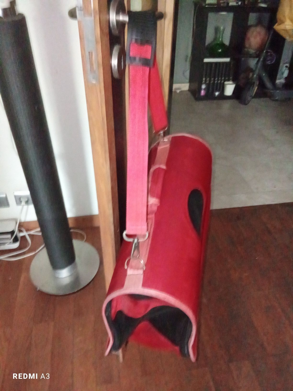 Transportadora pet