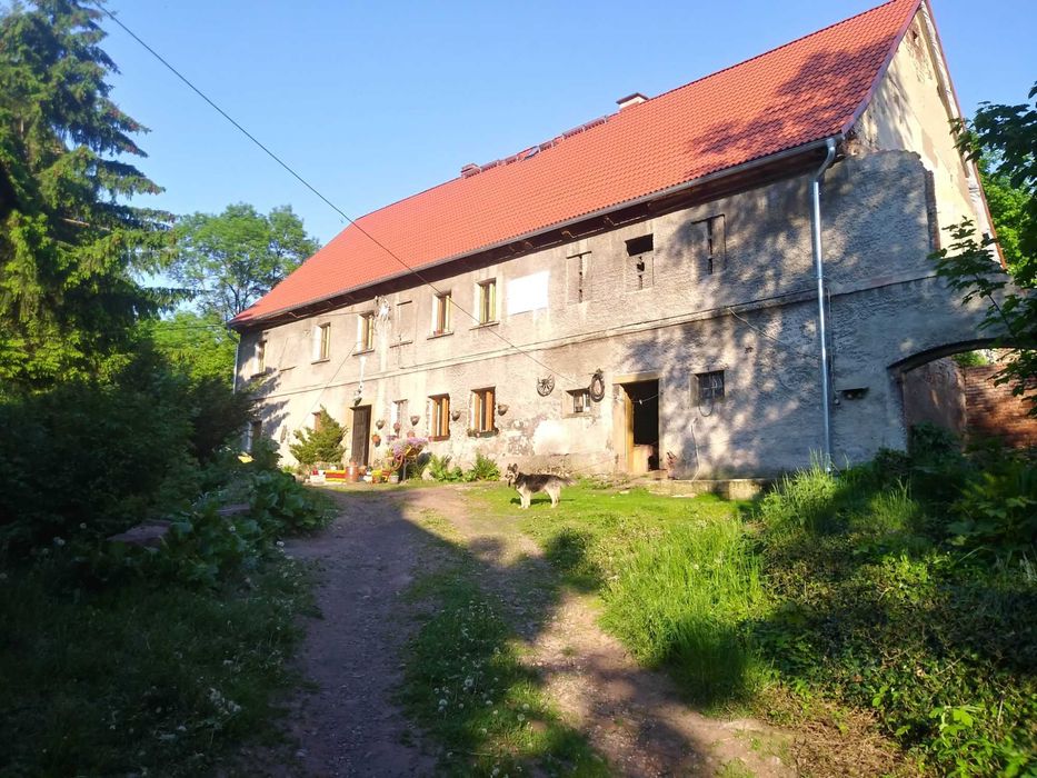 Dwa domy z XIX w. na ponad hektarze – siedlisko w Górach Suchych