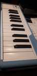 Teclado midi Arturia Microlab