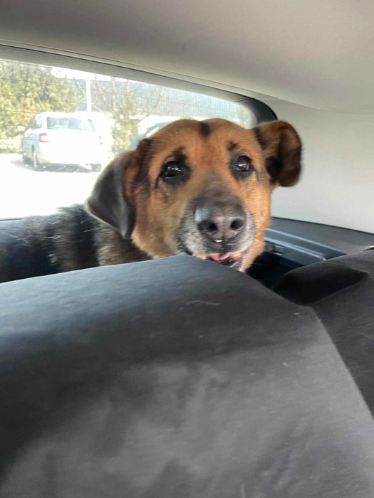 Sunia -  lek na całe zło