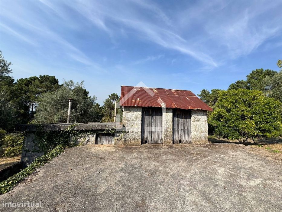 Quintinha com 5.105m2 com casa de Eira!