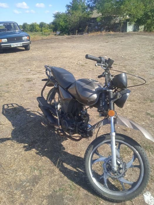 Мустанг дінго 125