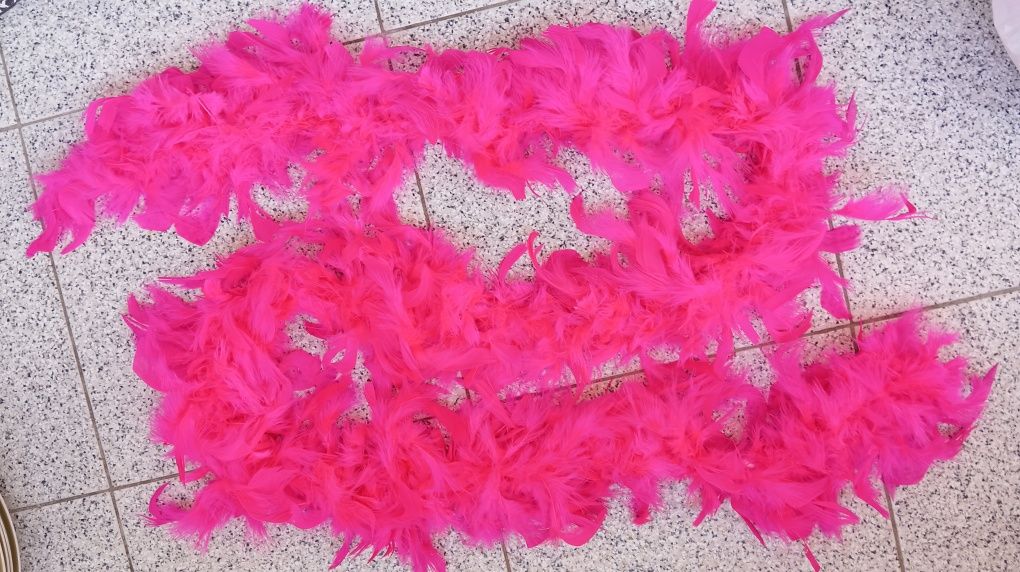 Plumas de Carnaval