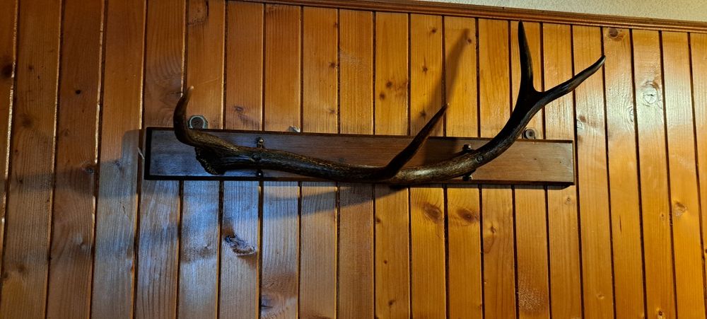 Wieszak z rogów jelenia