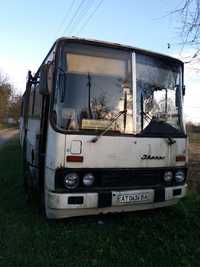 Автобус  Ikarus 256