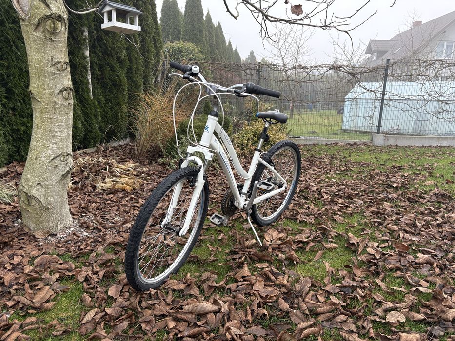 Rower Kross Modo 1.0 26 cali