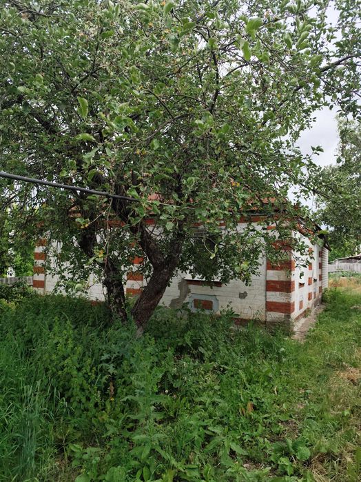 HG 07 Продам дом Солоницевская ОТГ (Ольшана)