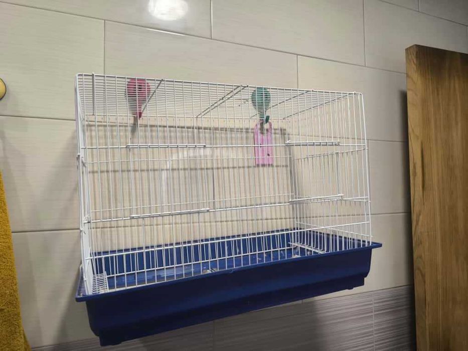 Gaiola de Pássaros Bom estado