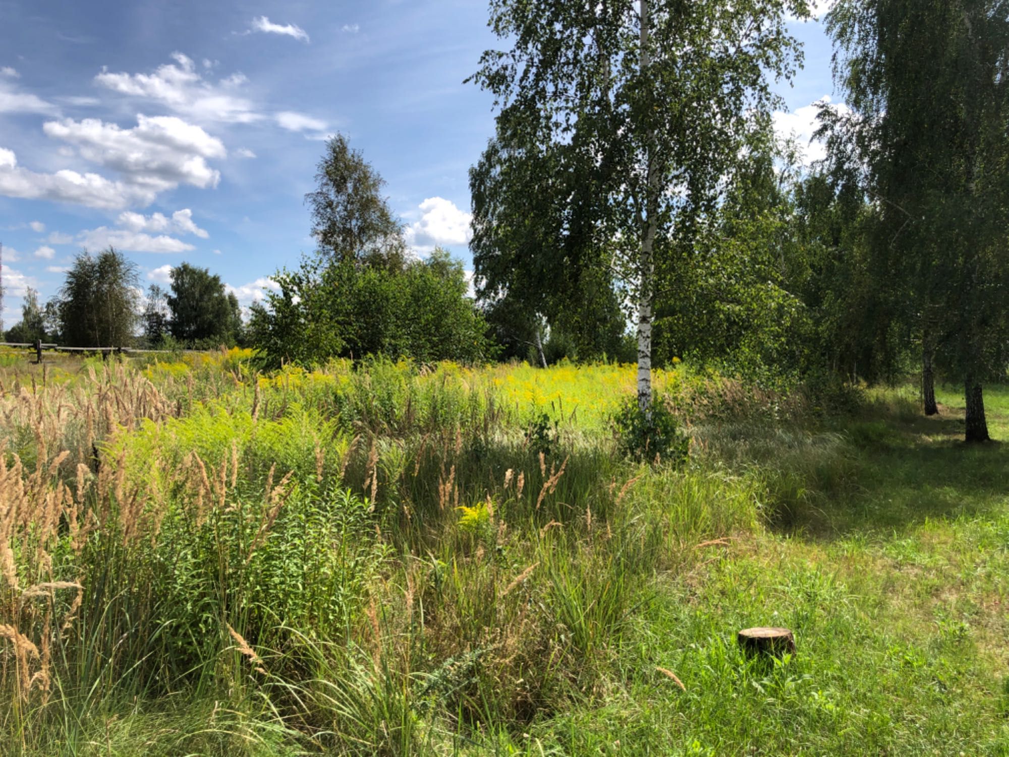 Продаж земельних ділянок