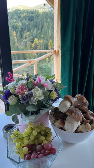 Оренда будиночку в Карпатах .