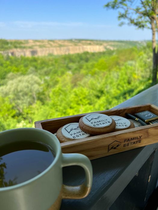 Котедж Тераса  Басейн  Family Estate Будинки подобово Кам'янець