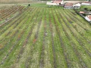 Terreno à venda em Óbidos