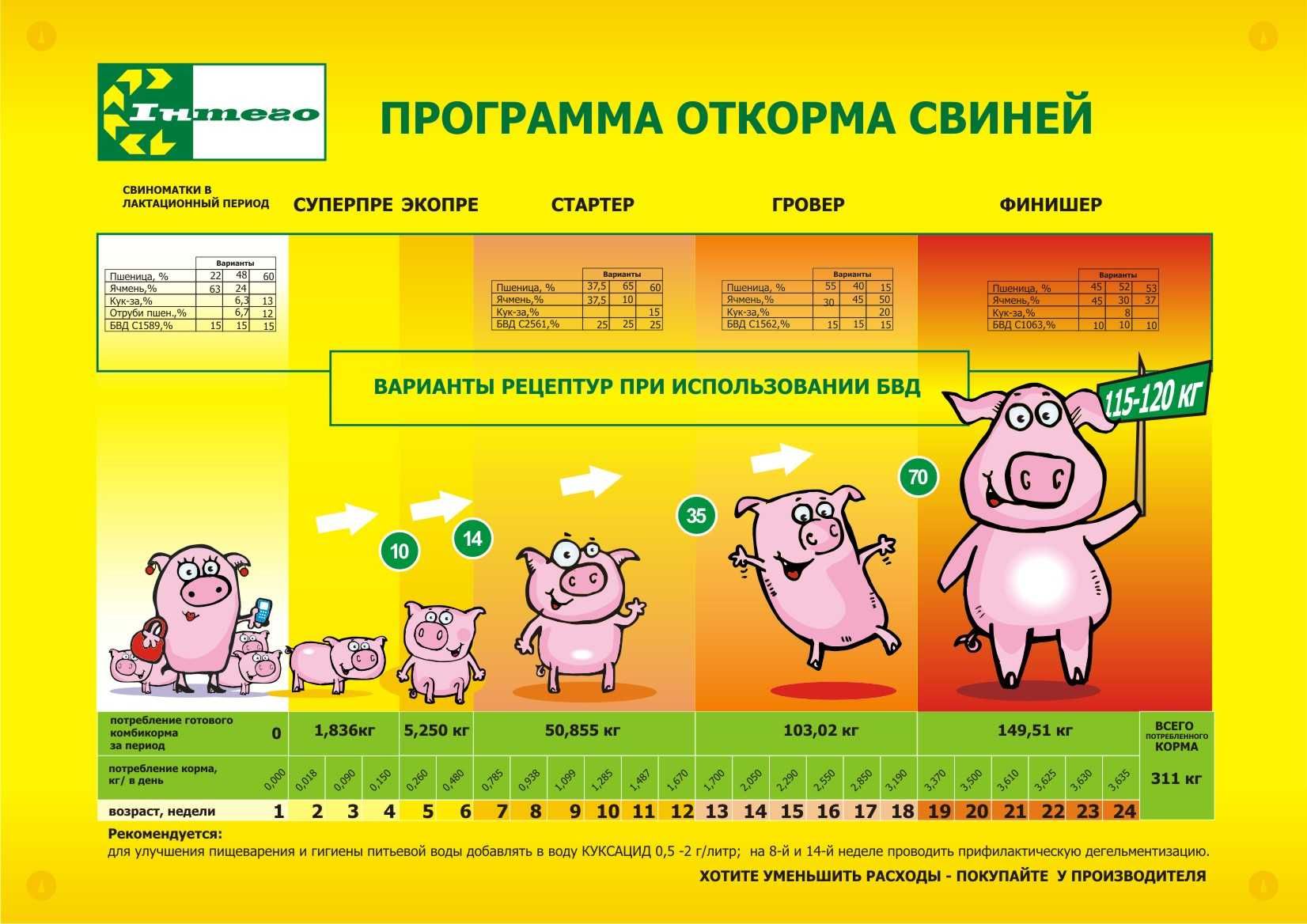 Комбікорм для відгодівлі свиней від12-35 кг Інтего Стартер  40кг