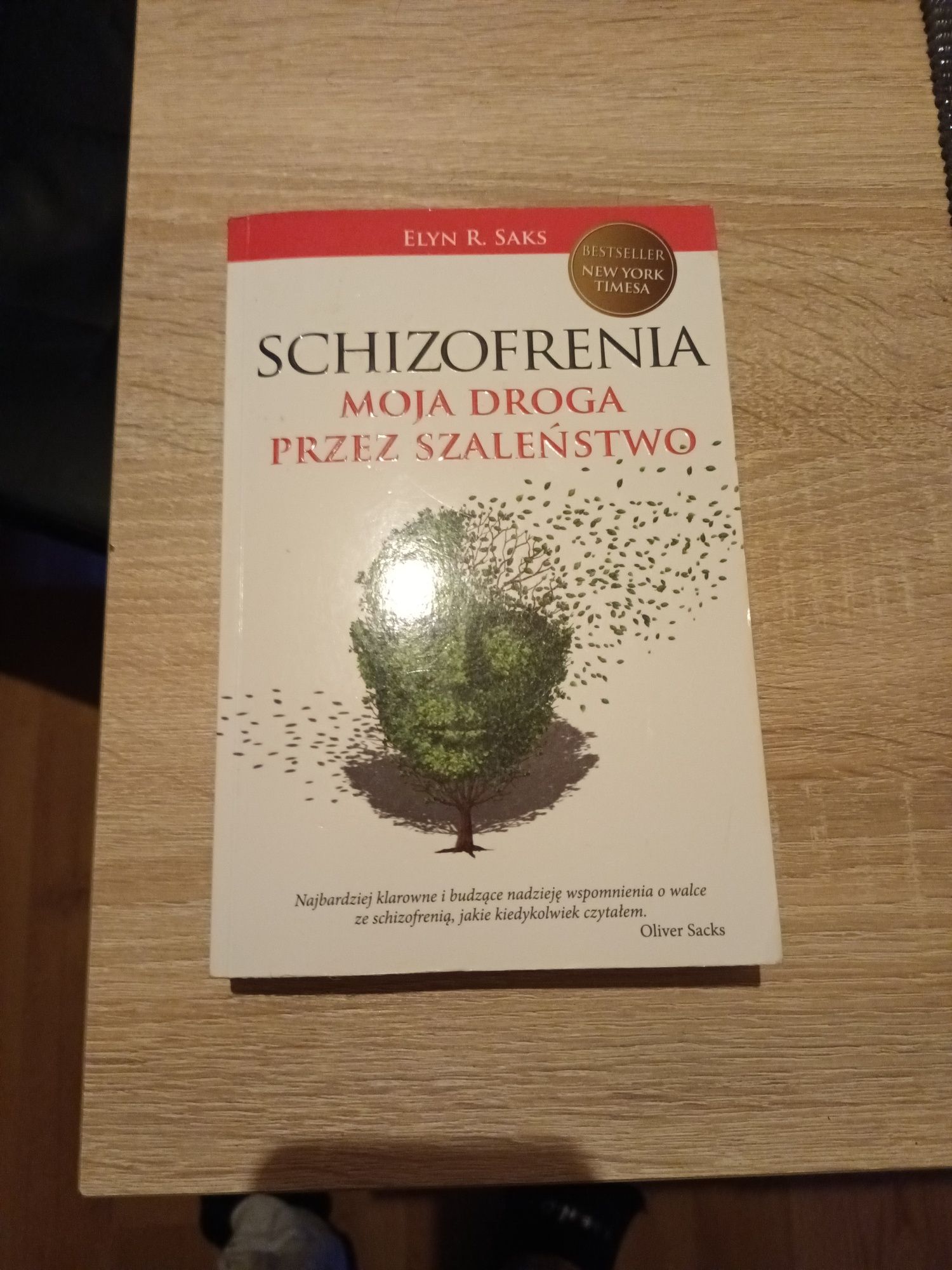 Książka Elyn R. Saks Schizofrenia Moja droga przez szaleństwo.