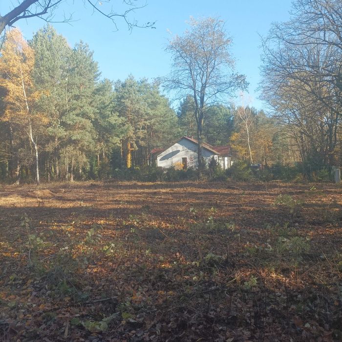 Działka budowlana leśna w Ostrowinie