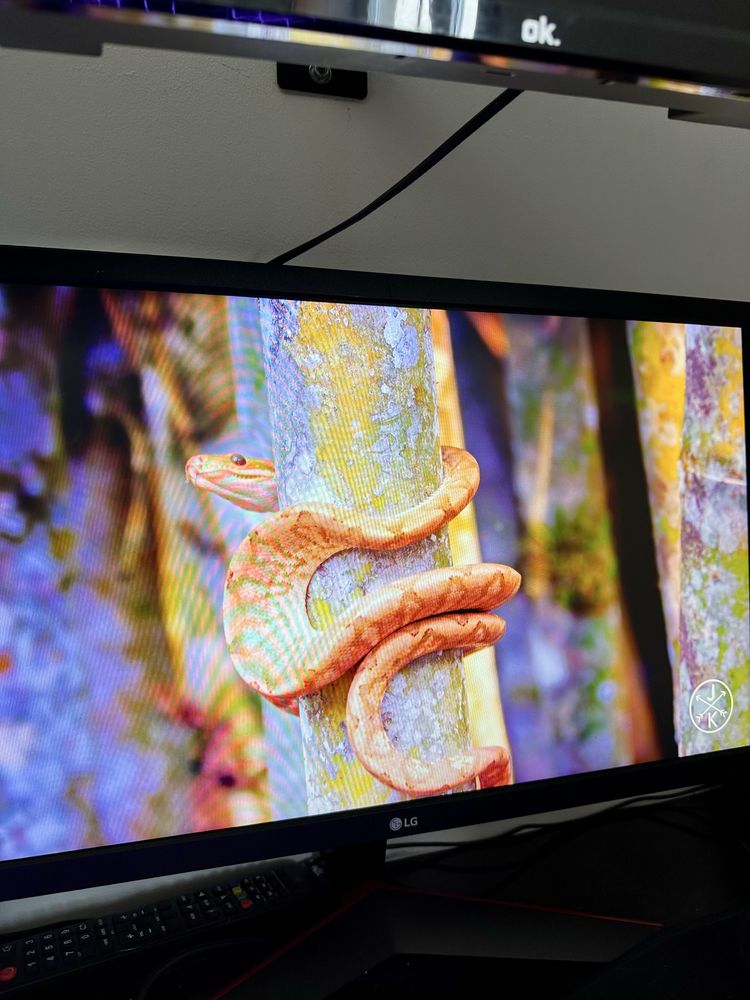 Monitor LG 24" 24GL600F-B 144Hz FreeSync 1ms