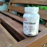 Dolvit Gland 60 tabletek dla psów na "saneczkowanie"