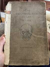 Анатомічний атлас, Anatomishcher Atlas, Carl Toldt