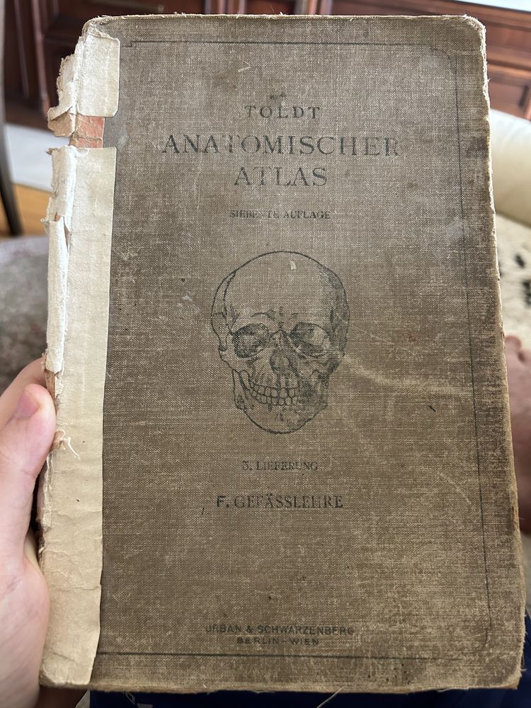 Анатомічний атлас, Anatomishcher Atlas, Carl Toldt