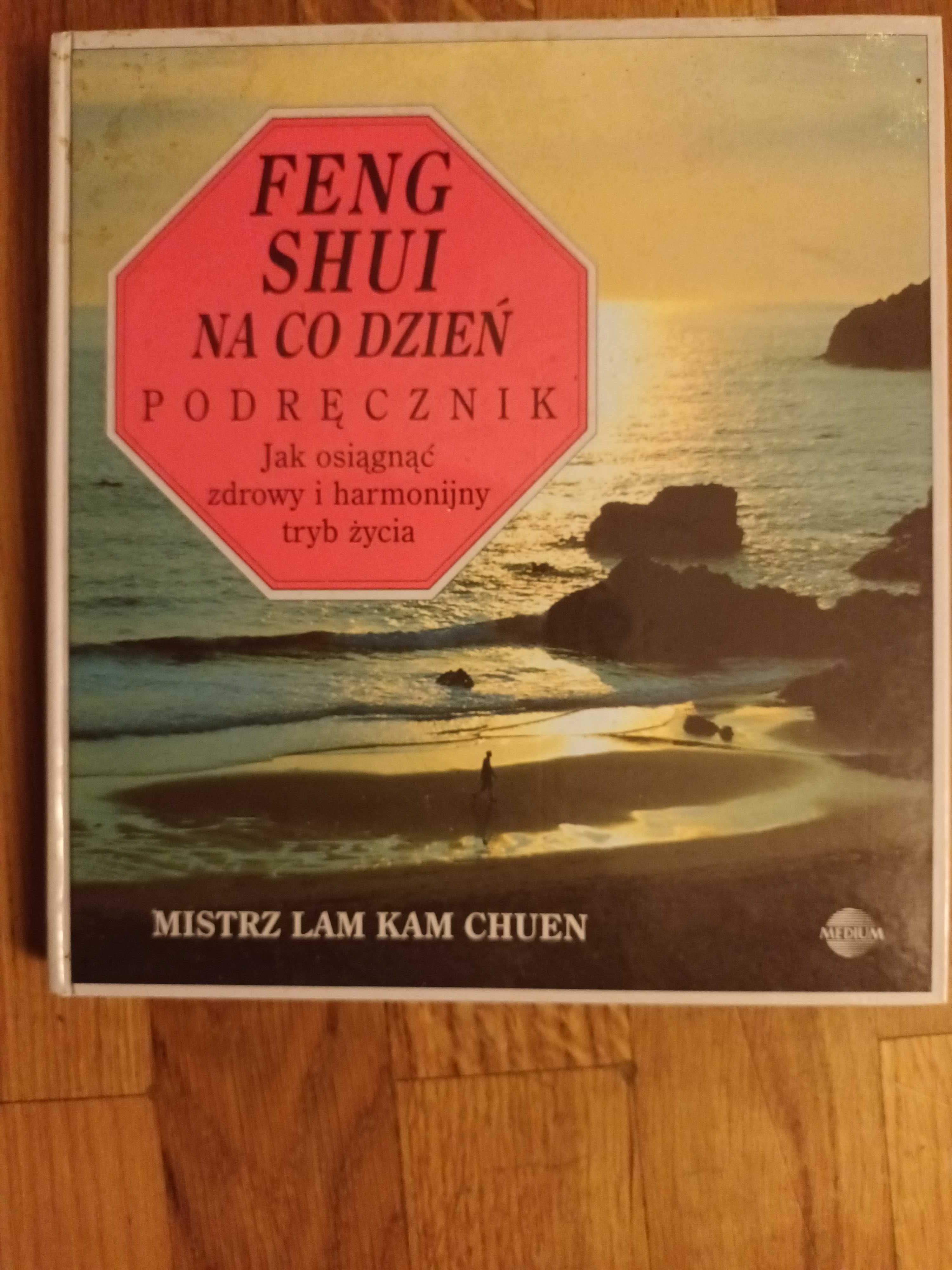 Lam Kam Chuen Feng shui na co dzień. Podręcznik 11