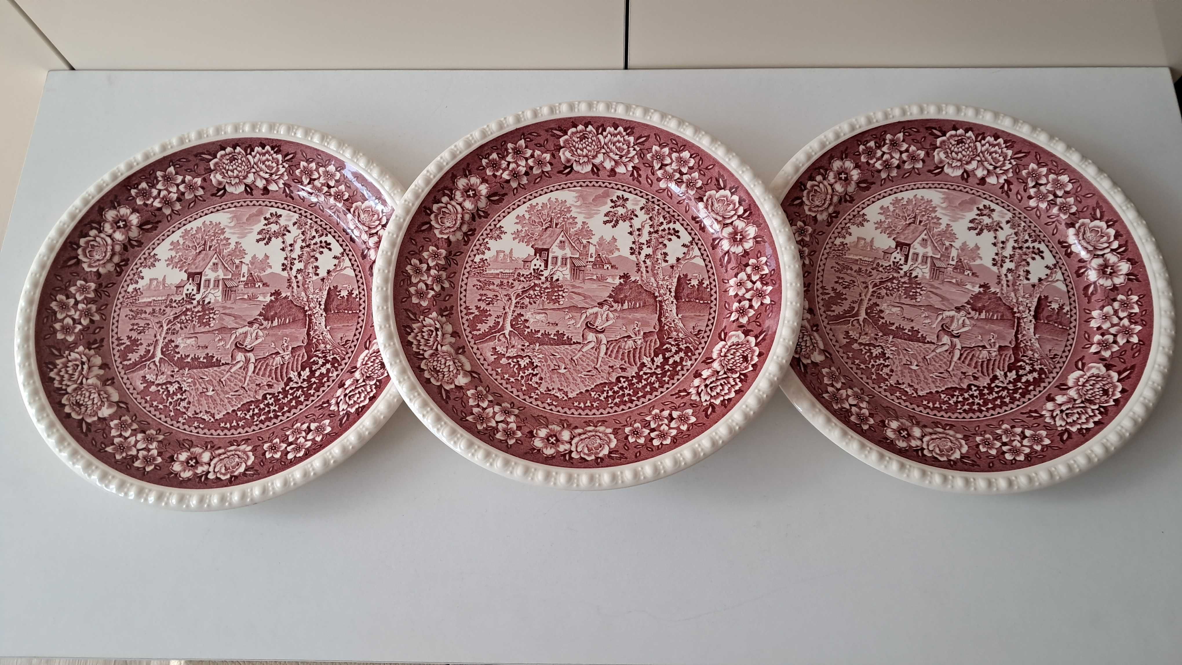 Talerze obiadowe villeroy&boch rusticana