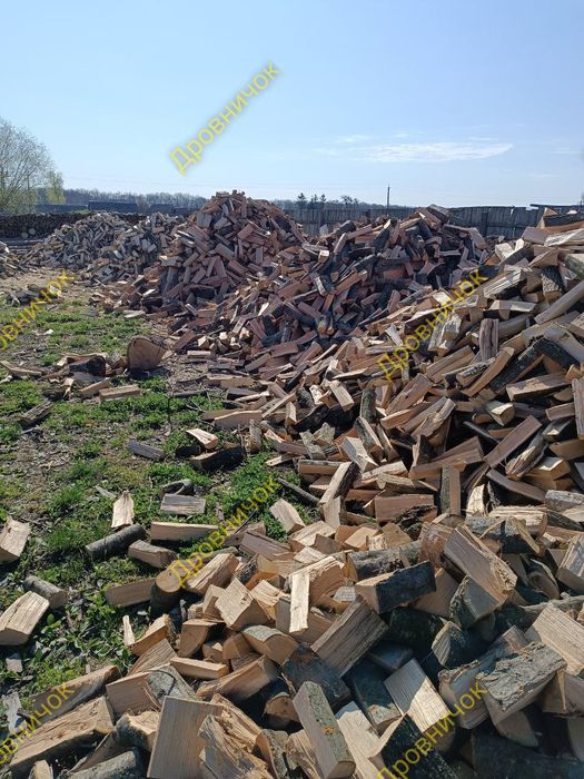 Рекомендовано Дрова купити Киев Дуб Колотые Купить Дрова Київ дрова