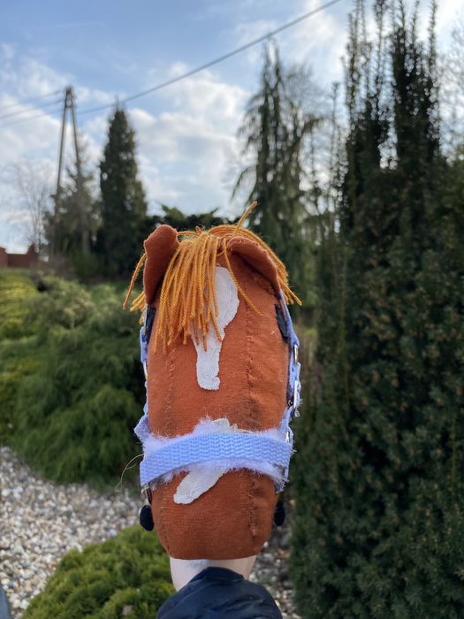 Hobby horse ze sprzętem