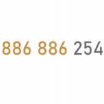 ZŁOTY NUMER  886_886_254