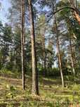 Продажа дома участка Подгорцы Романков. Голубое озеро