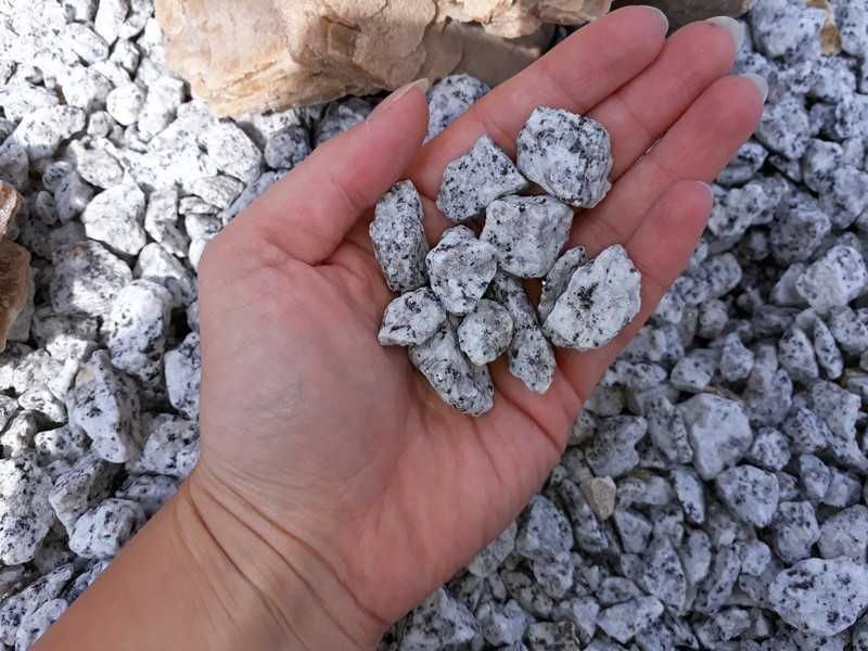 Kamienie Ozdobne - Grys Granitowy Dalmatyńczyk PREMIUM 8-16, 16-22mm