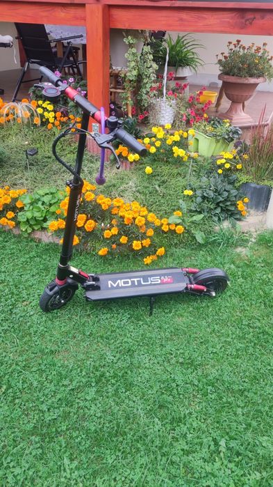 Hulajnoga Motus 8.5 Pro Lite