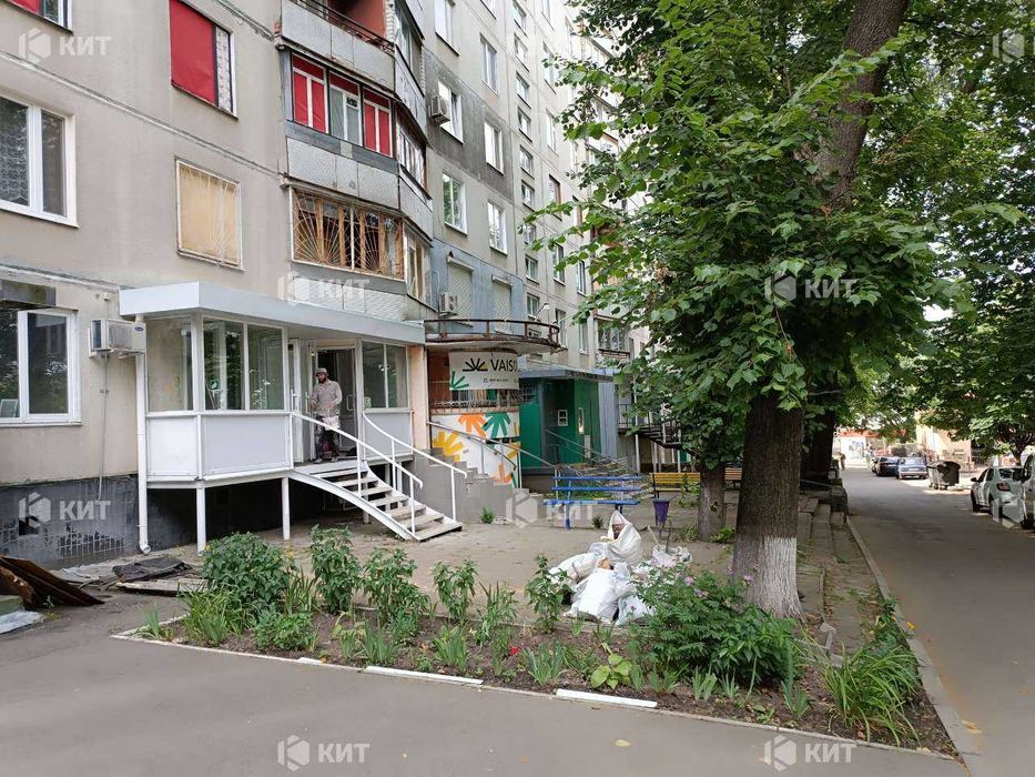 Аренда помещения возле метро Студенческая, 40 м2, SF-119133