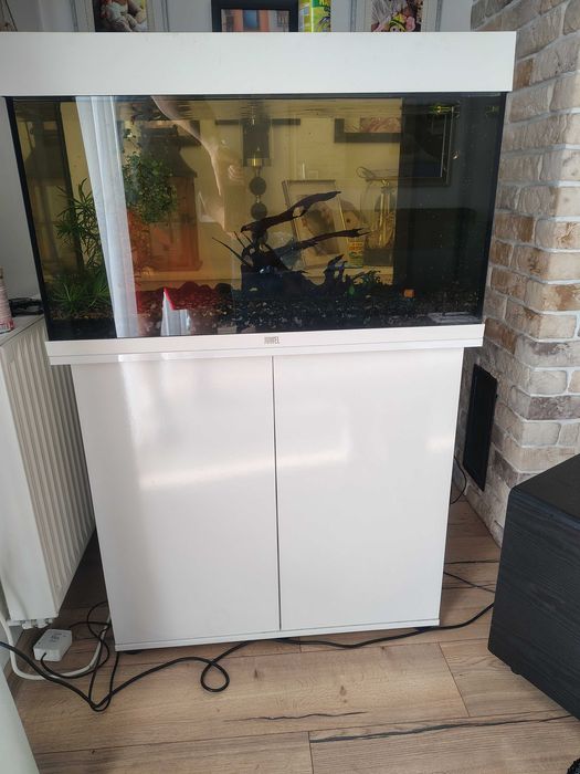 Juwel Rio 125 LED białe akwarium z szafką
